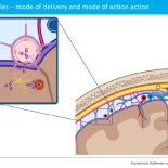 Kristian Steen Frederiksen