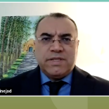 Pezhman Alavinejad